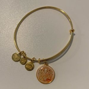 Alex and Ani 2016 Path of Life Charm Bangle